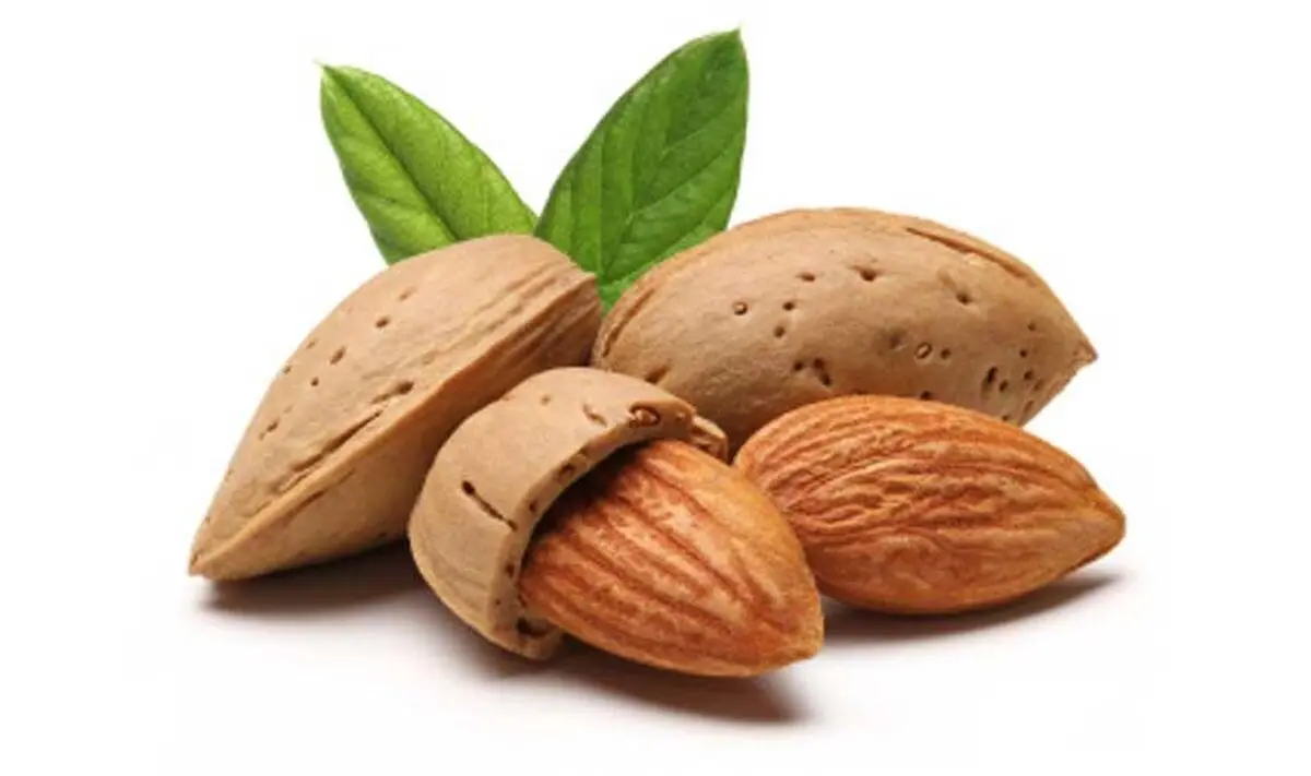 خواص باورنکردنی بادام

