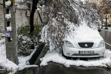 برف بهاری در تبریز
