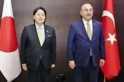 ترکیه حل دیپلماتیک مساله اوکراین را خواستار شد