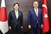 ترکیه حل دیپلماتیک مساله اوکراین را خواستار شد