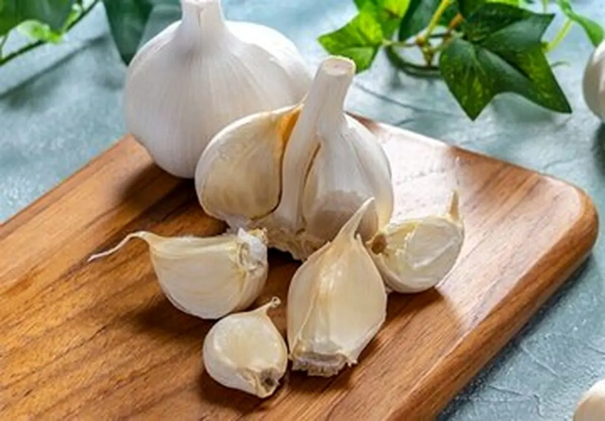 آگر سیر ناشتا خورده شود چه اتفاقی برای بدن میافتد؟
