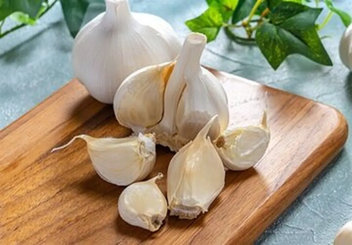 طب سنتی درباره سیر چه می‌گوید؟