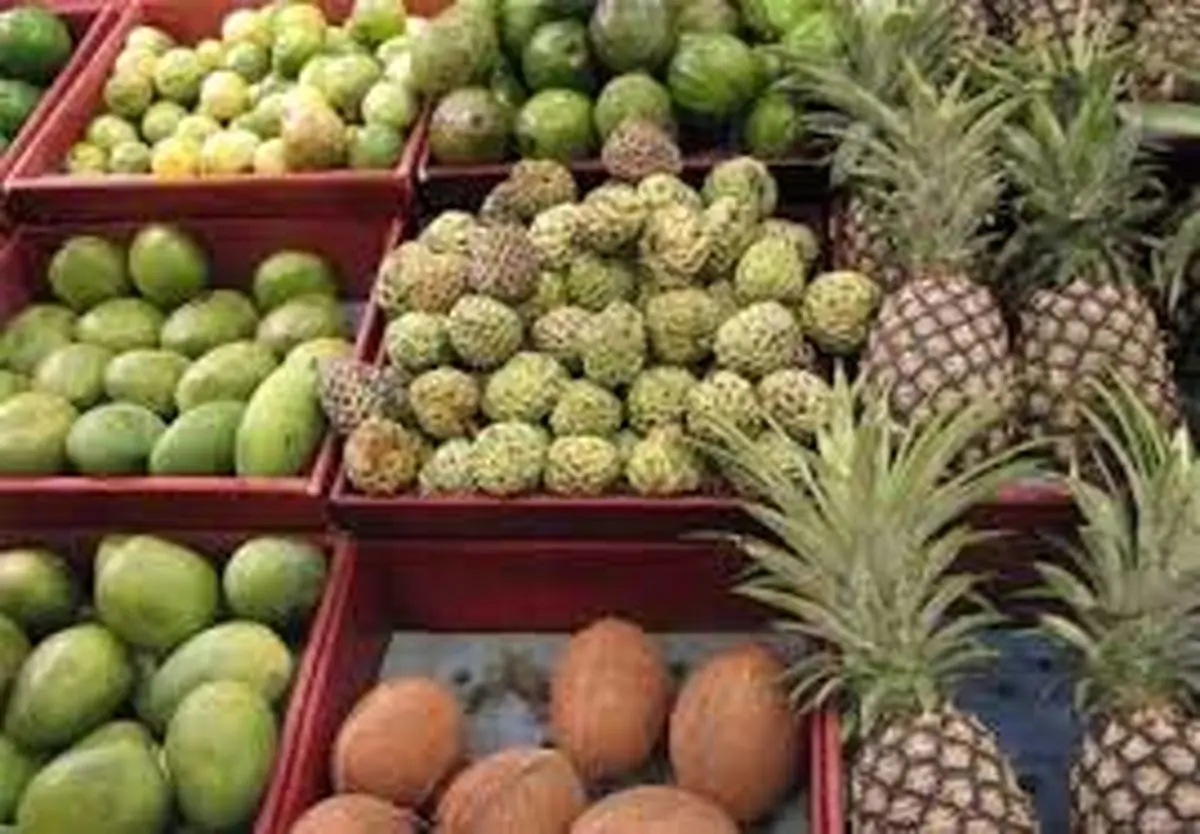 خودنمایی میوه های ممنوعه در مغازه ها