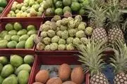 پای میوه های قاچاق به مغازه ها رسید 