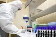 خرید ۲۰۰ هزار کیت کرونای ایرانی با نصف قیمت مشابه خارجی