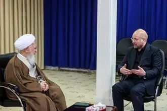دیدار رئیس مجلس شورای اسلامی با مراجع عظام تقلید در قم/گزارش تصویری