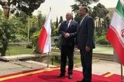 استقبال امیرعبداللهیان از همتای لهستانی در تهران +فیلم