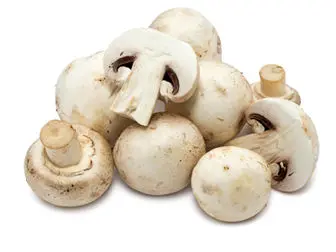 مصرف قارچ های پرورشی مشکلی ندارد