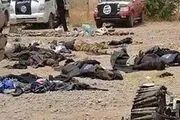 هلاکت ۷۱ داعشی ظرف ۱۱ روز