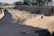  تصاویر آسفالت کردن رودخانه الیگودرز! 