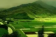 طرحی برای کیش و مات کردن زمین خواران