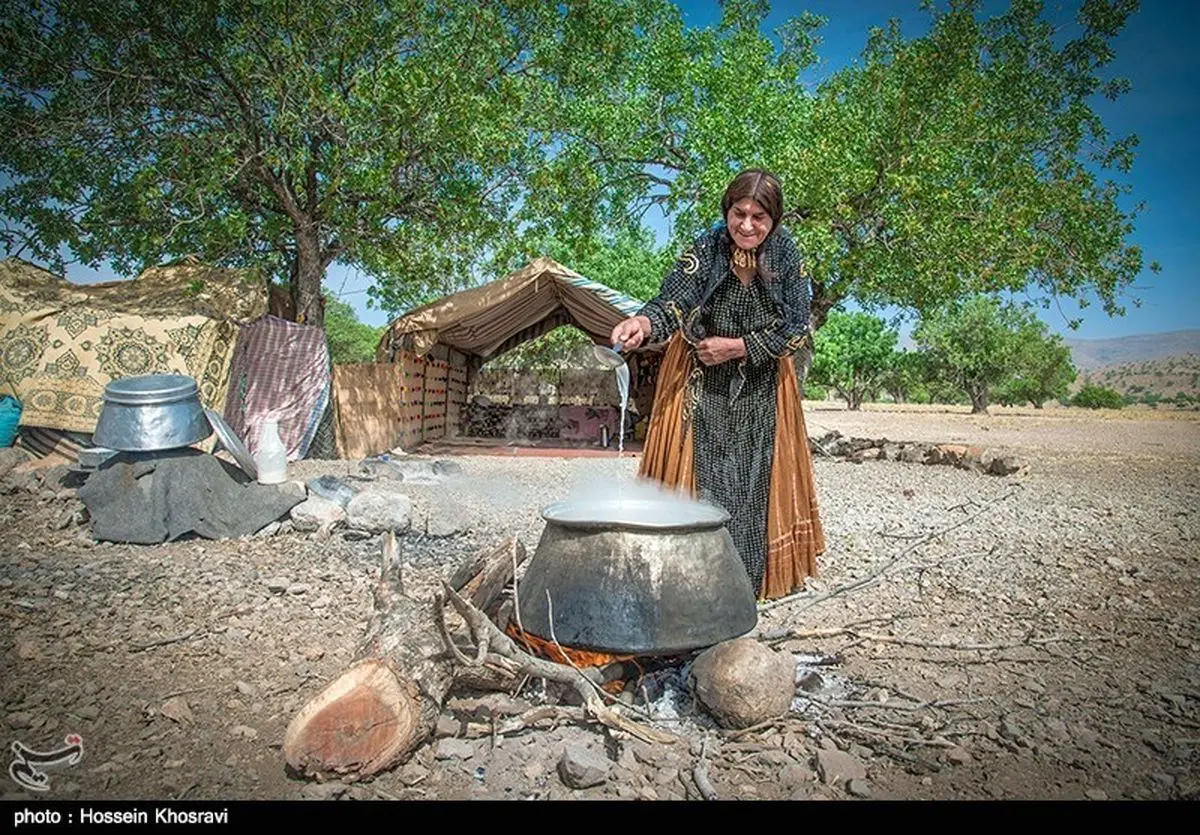 ۲۱۸۹ خانوار عشایری اردبیل بیمه شدند