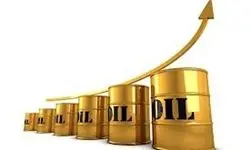 افزایش لاک پشتی قیمت نفت