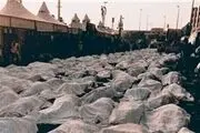 آمار کشته شدگان فاجعه منا به تفکیک استان‌ها