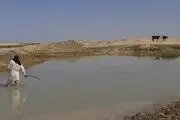 حال خوب «هامون»/ عکس