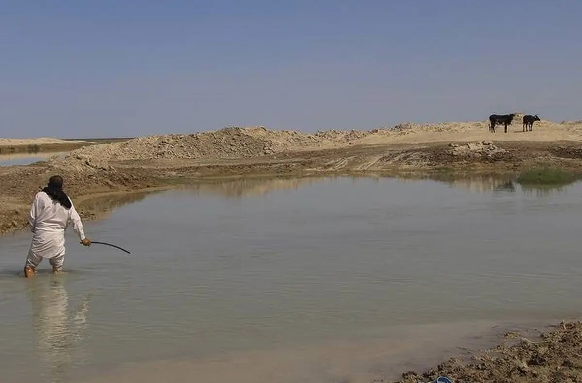 حال خوب «هامون»/ عکس