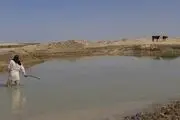 حال خوب «هامون»/ عکس