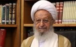 آیت‌الله مکارم‌شیرازی: جسارت به رهبر انقلاب را بر نمی‌تابیم