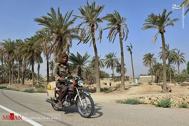 نخل