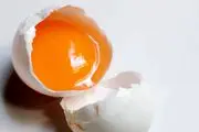 آیا خوردن تخم مرغ خام مضر است؟
