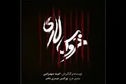 تازه ترین خبرها از الناز حبیبی و «خروس لاری» /عکس