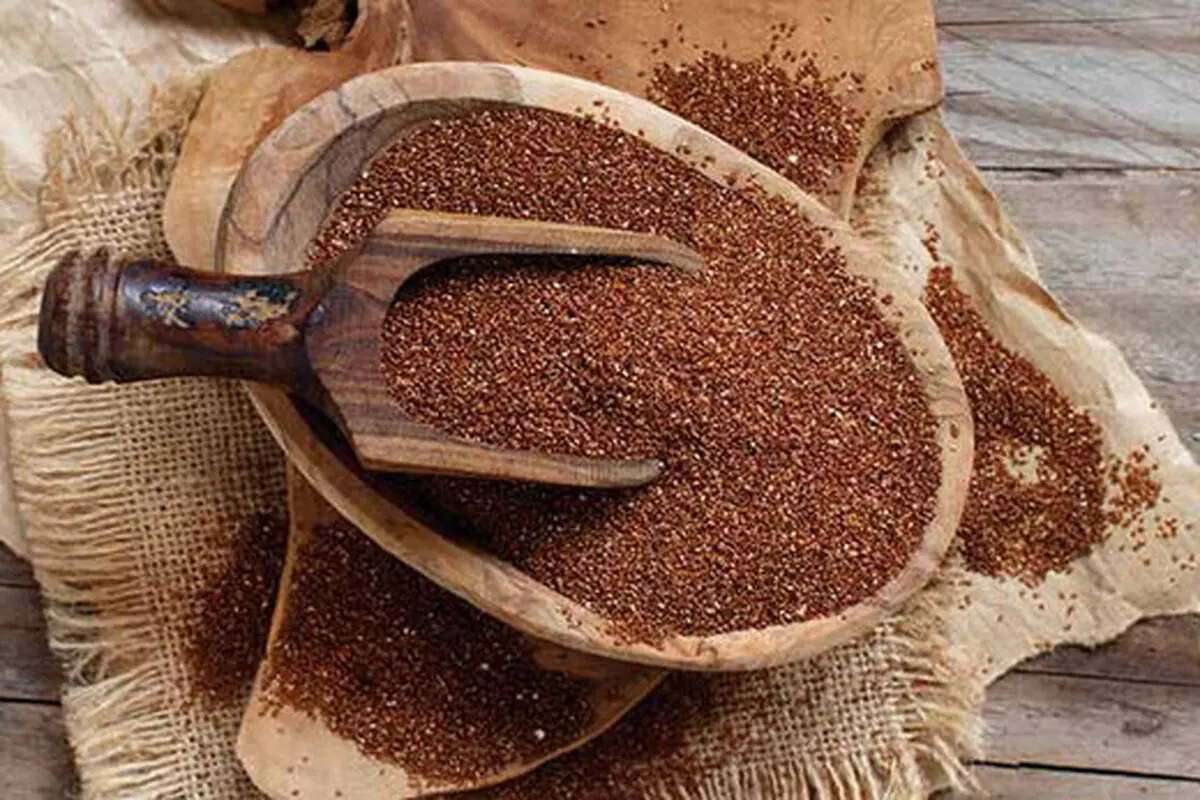 بهترین گیاه برای کاهش عطش در ماه رمضان

