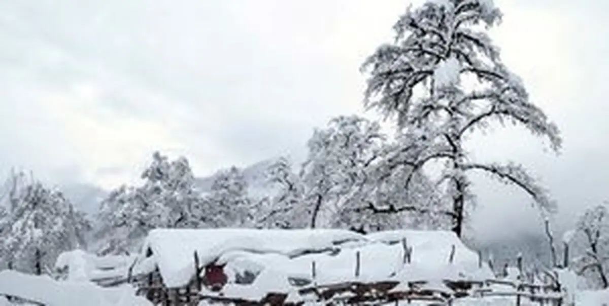 آغاز "بارش برف" در برخی مناطق کشور