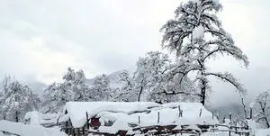 بارش 25 سانتی‌متری برف در مازندران