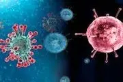 تمرکز ویروس آنفلوانزا بیشتر بر نفوذ به ریه‌ها است
