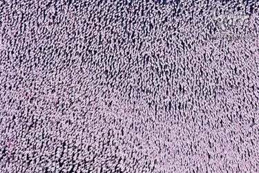 n00160834-r-b-011