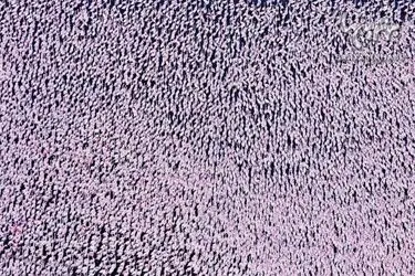 n00160834-r-b-011
