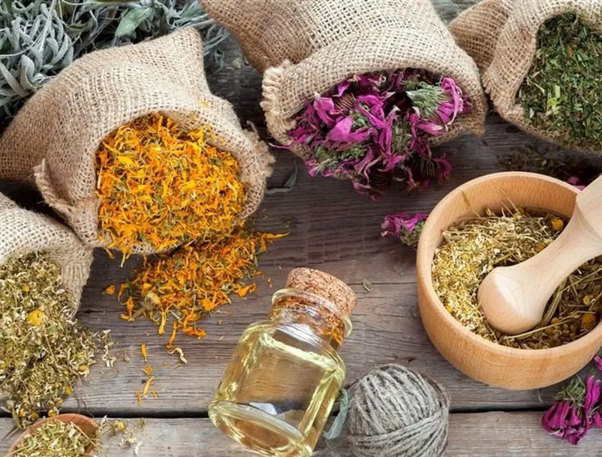 این گیاهان دارویی می‌توانند قاتل شما باشند!