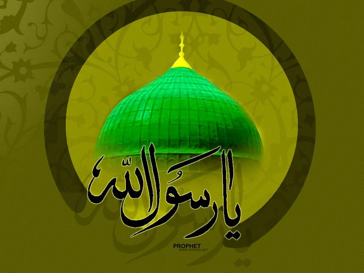 کدام یک از ائمه (ع) نزد پیامبر محبوب تر بودند؟
