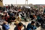 بیش از 5 هزار مهاجر افغان طی هفته گذشته از ایران به کشورشان بازگشته‌اند