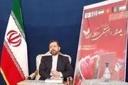 برگزاری وبینار «یلدا،همبستگی منطقه‌ای»