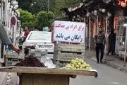 دستفروش بامعرفت!/ عکس