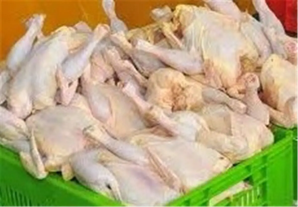  ۱۱ درصد گوشت سفید کشور در استان مازندران تولید می‌شود 