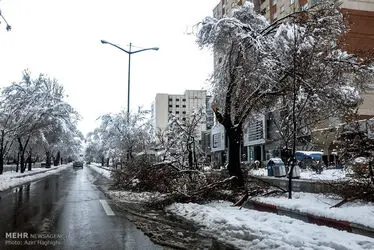 برف بهاری در تبریز