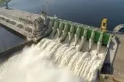 برق‌آبی‌ها زنده می‌شوند؟