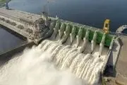 برق‌آبی‌ها زنده می‌شوند؟
