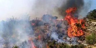افزایش احتمال آتش سوزی مراتع و جنگل‌ها با گرم شدن هوا