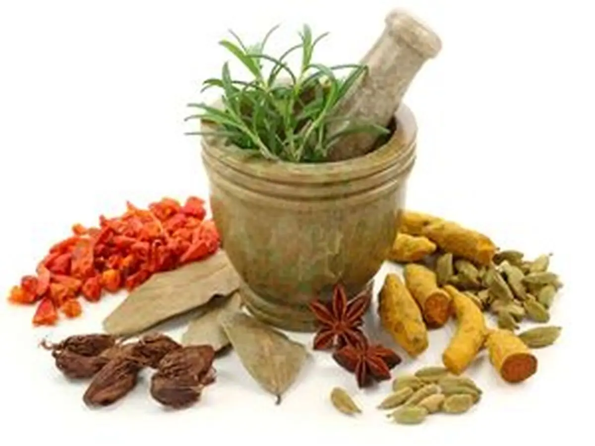 
این گیاهان برای معده معجزه است
