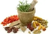 
این گیاهان برای معده معجزه است
