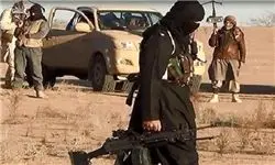 به هلاکت رسیدن 1000 داعشی در موصل