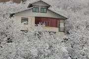 بارش برف پاییزی در گیلان/ گزارش تصویری