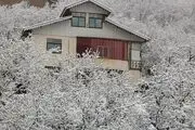 بارش برف پاییزی در گیلان/ گزارش تصویری
