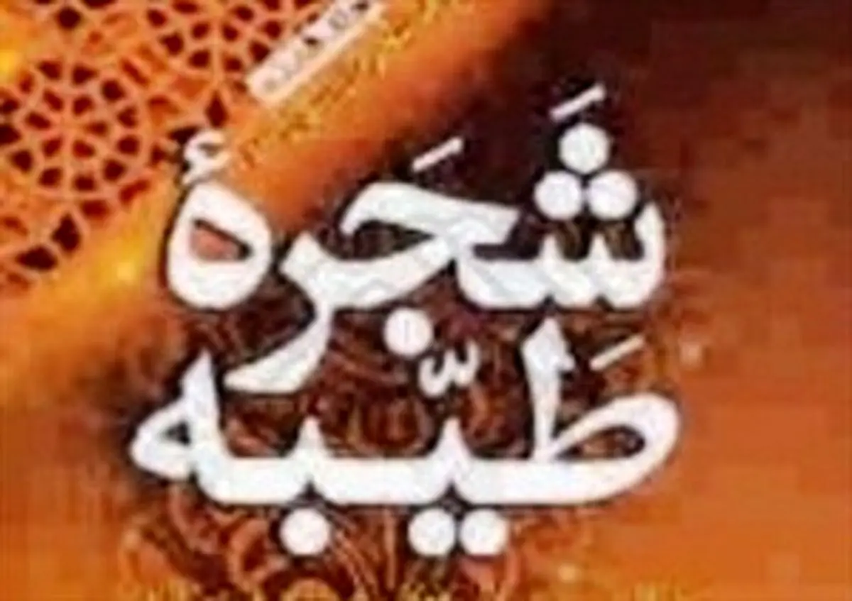 لقب سید از کجا آمده و به چه کسانی سید می گویند؟