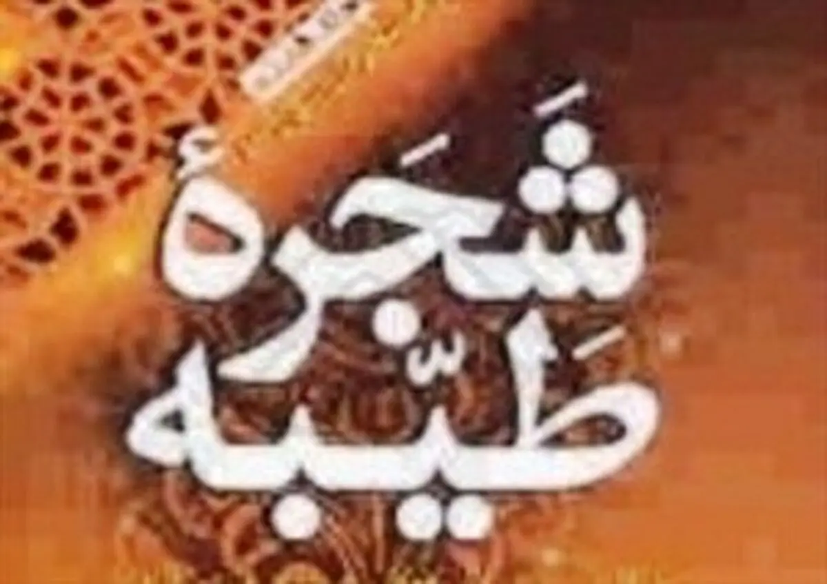 لقب سید از کجا آمده و به چه کسانی سید می گویند؟