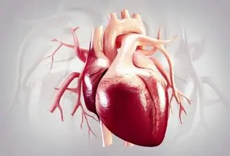 علت "نارسایی قلب" از نظر طب سنتی+ نسخه‌های ساده درمانی