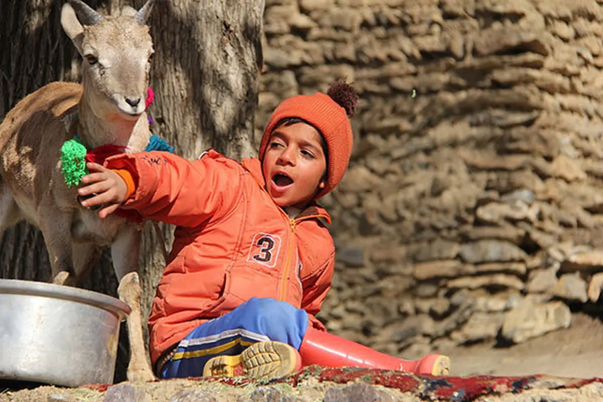 «اسکی باز» روی پرده سینماها